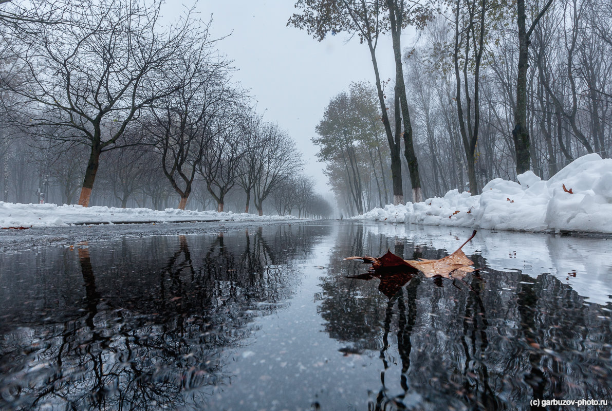 Ноябрь в парке - Илья Гарбузов
