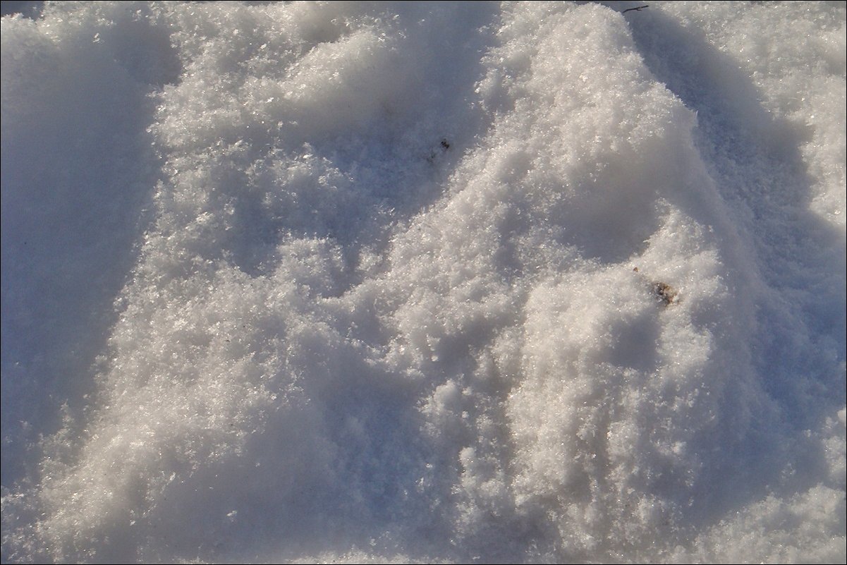 Снег, снег, белый снег пушистый... - Нина Корешкова