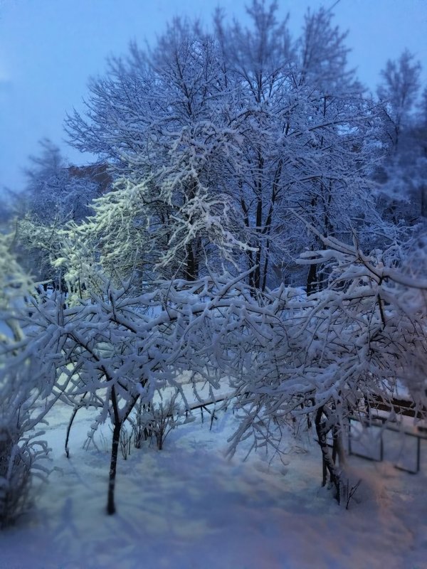 За окном зима, а  дома  тепло,уютно и утреннее кофе... - Наталья Соколова
