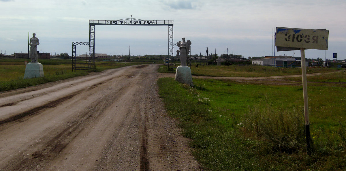 Врата в Зюзю - Сергей Царёв