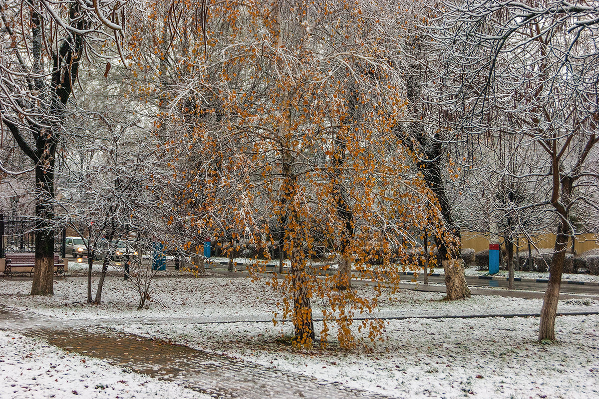 Мокрый снег - Игорь Сикорский