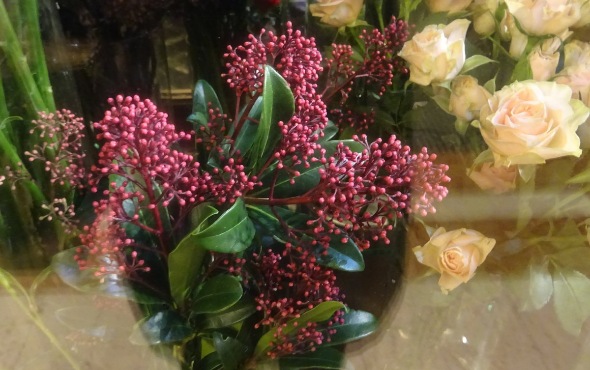 Подарочные цветы - татьяна 
