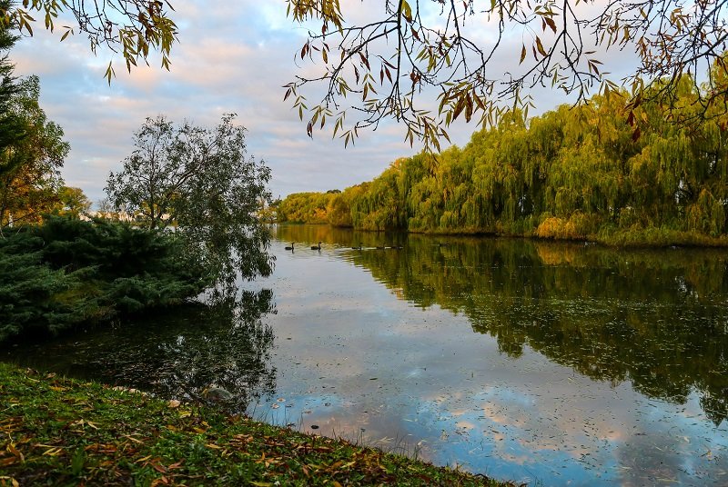 Озеро в Балларате - Natalia Pakhomova