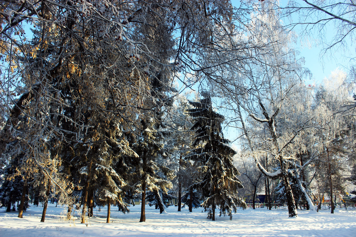 Зимний лес - раиса Орловская