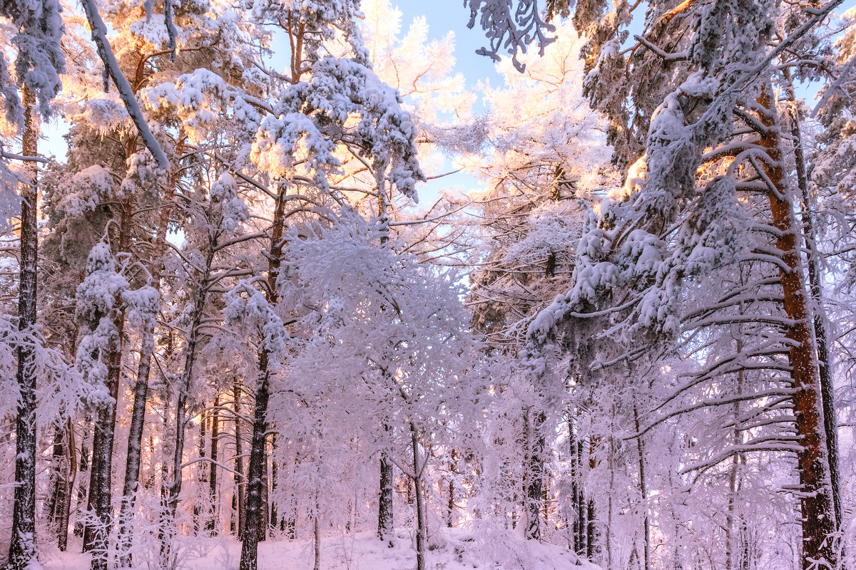 морозно - Василий Иваненко