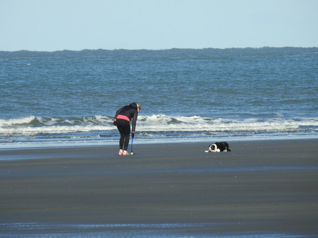 Прогулка с собакой у бурного моря - Natalia Harries