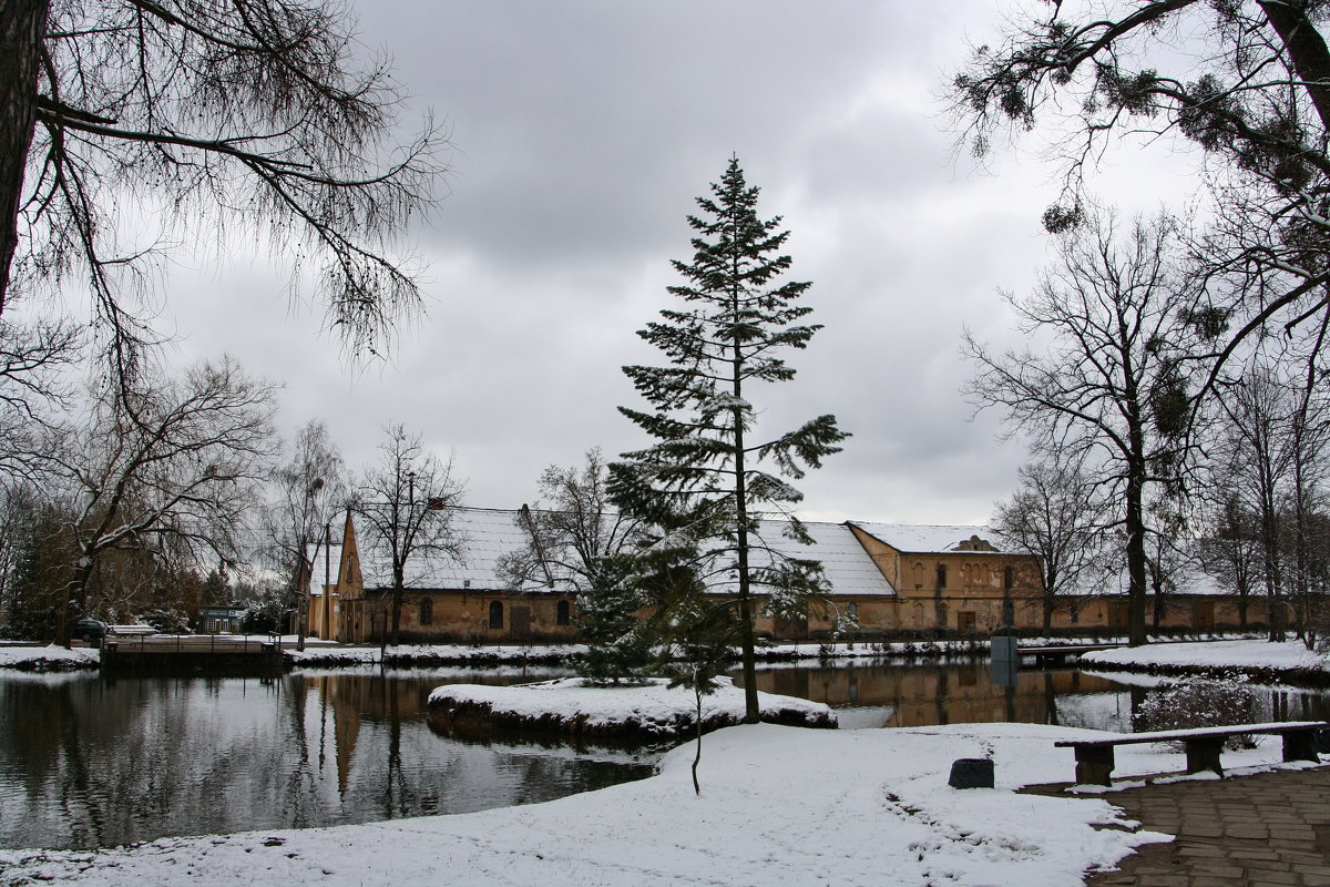 Ботанический сад зимой - AstaA 
