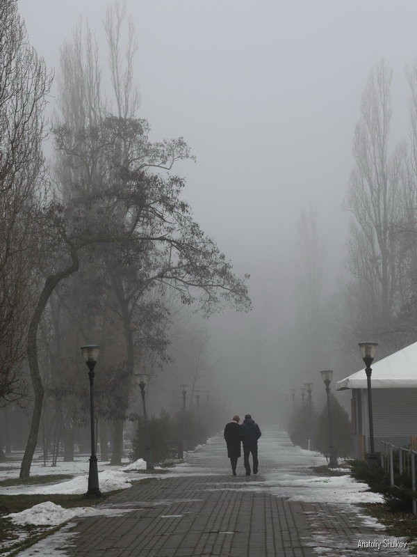 Прогулка в тумане - Анатолий Шулков