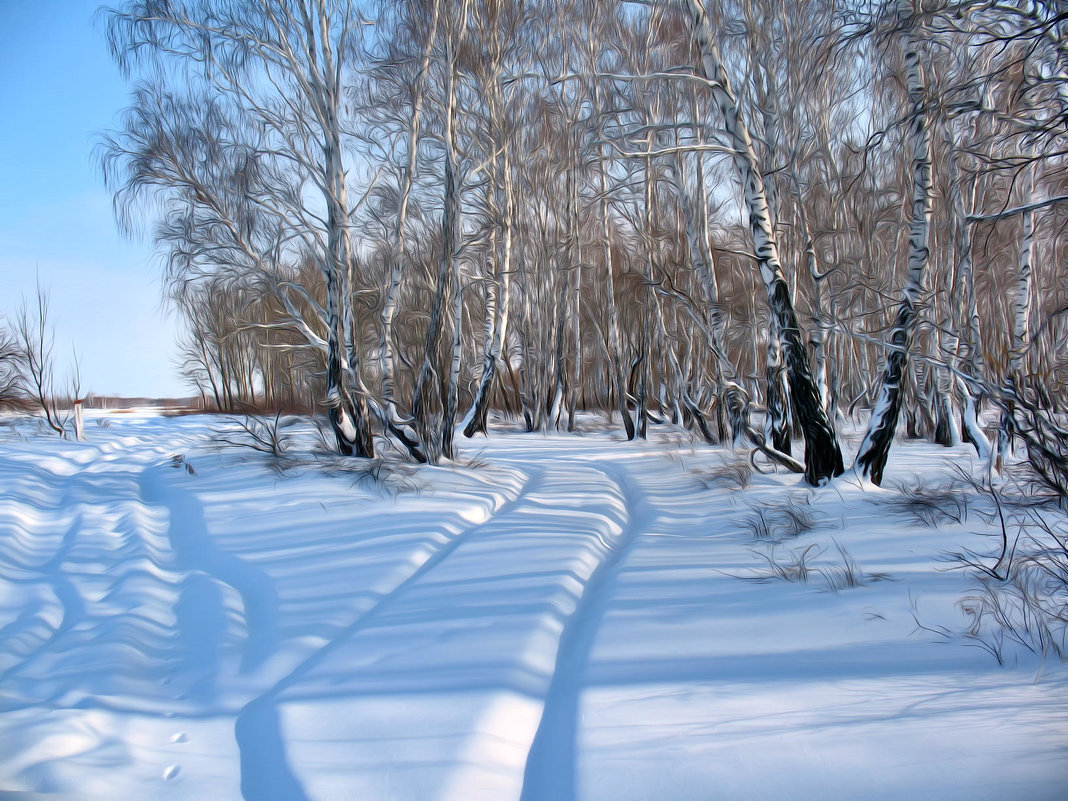 Берёзы и снег - Владимир 