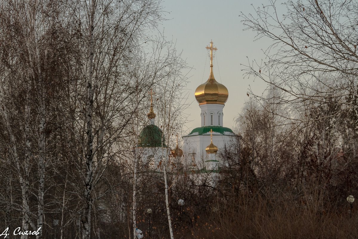 Благовещенский Собор - Дмитрий Сиялов