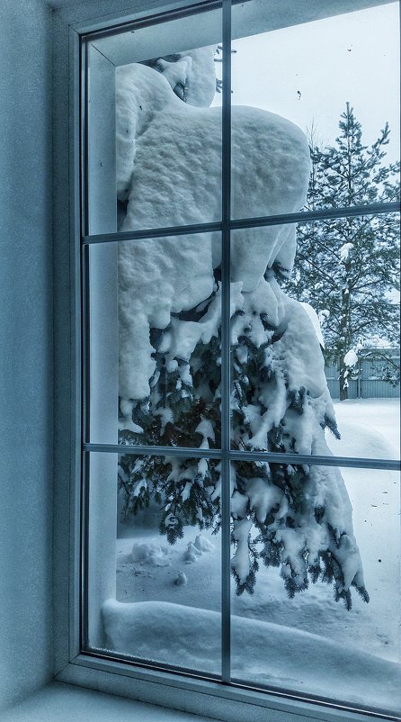 Зима за окном - Сергей Розанов