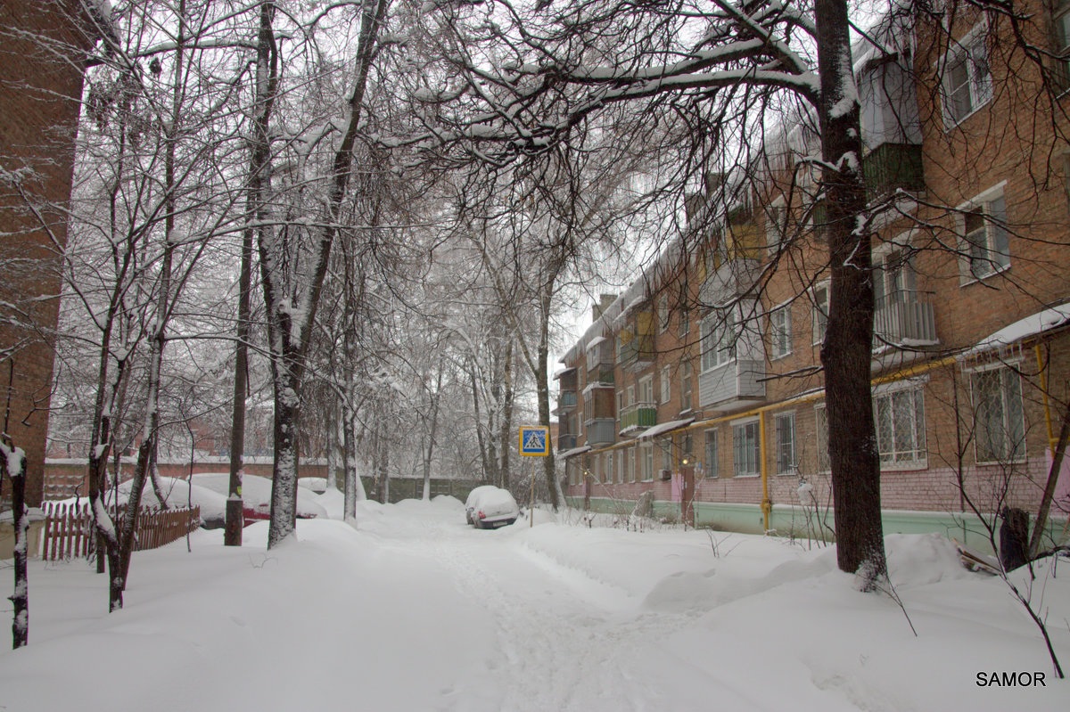 зима - Валерий Самородов