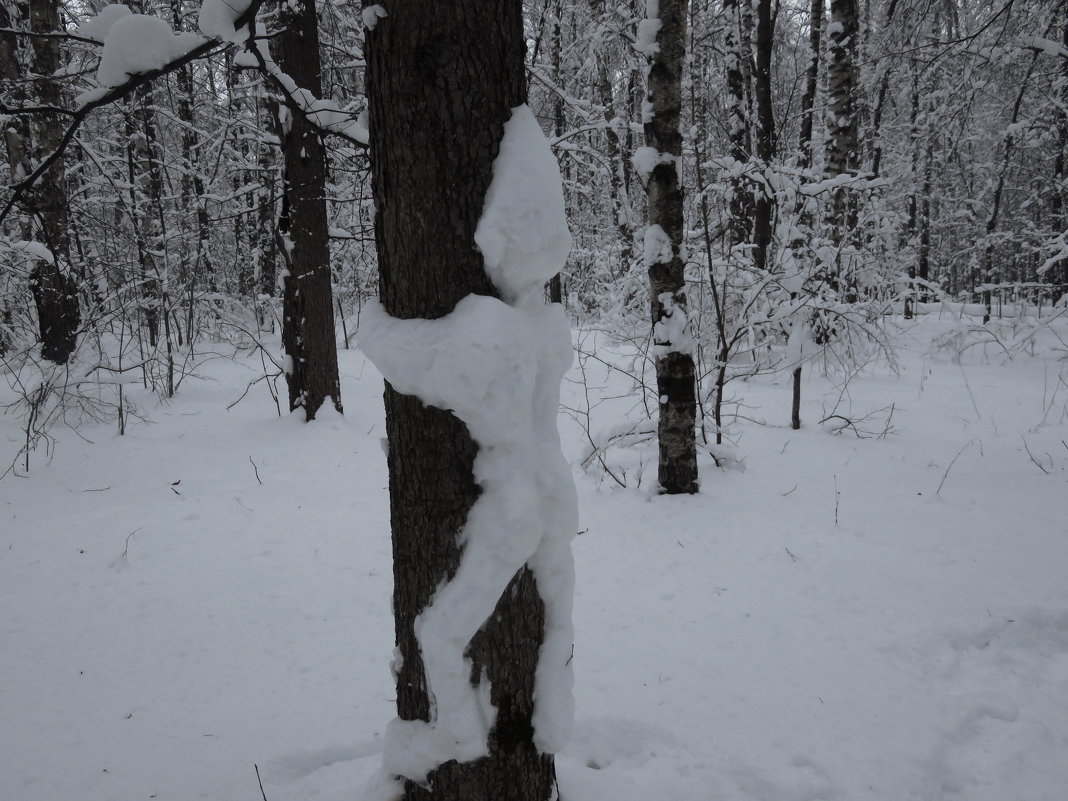 Доказательства зимы - Андрей Лукьянов