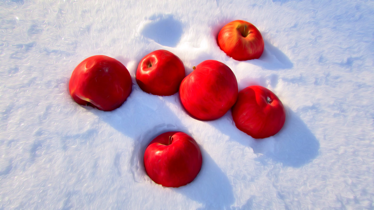 Яблоки на снегу - Владимир 