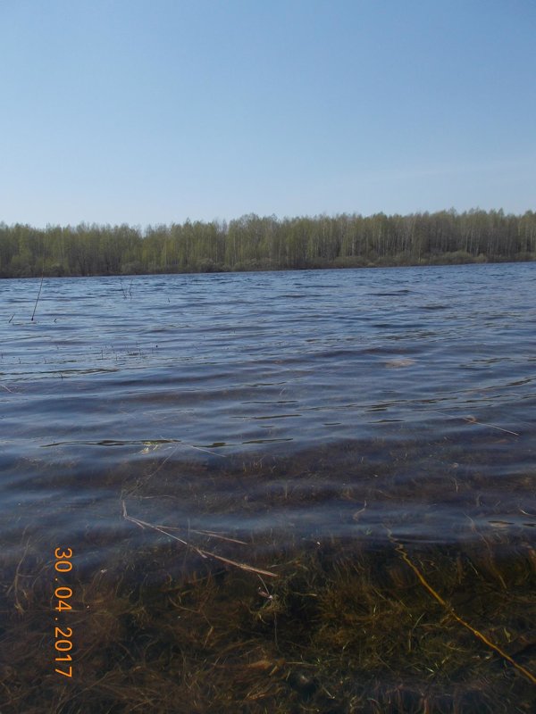 озеро - Светлана Рябова 