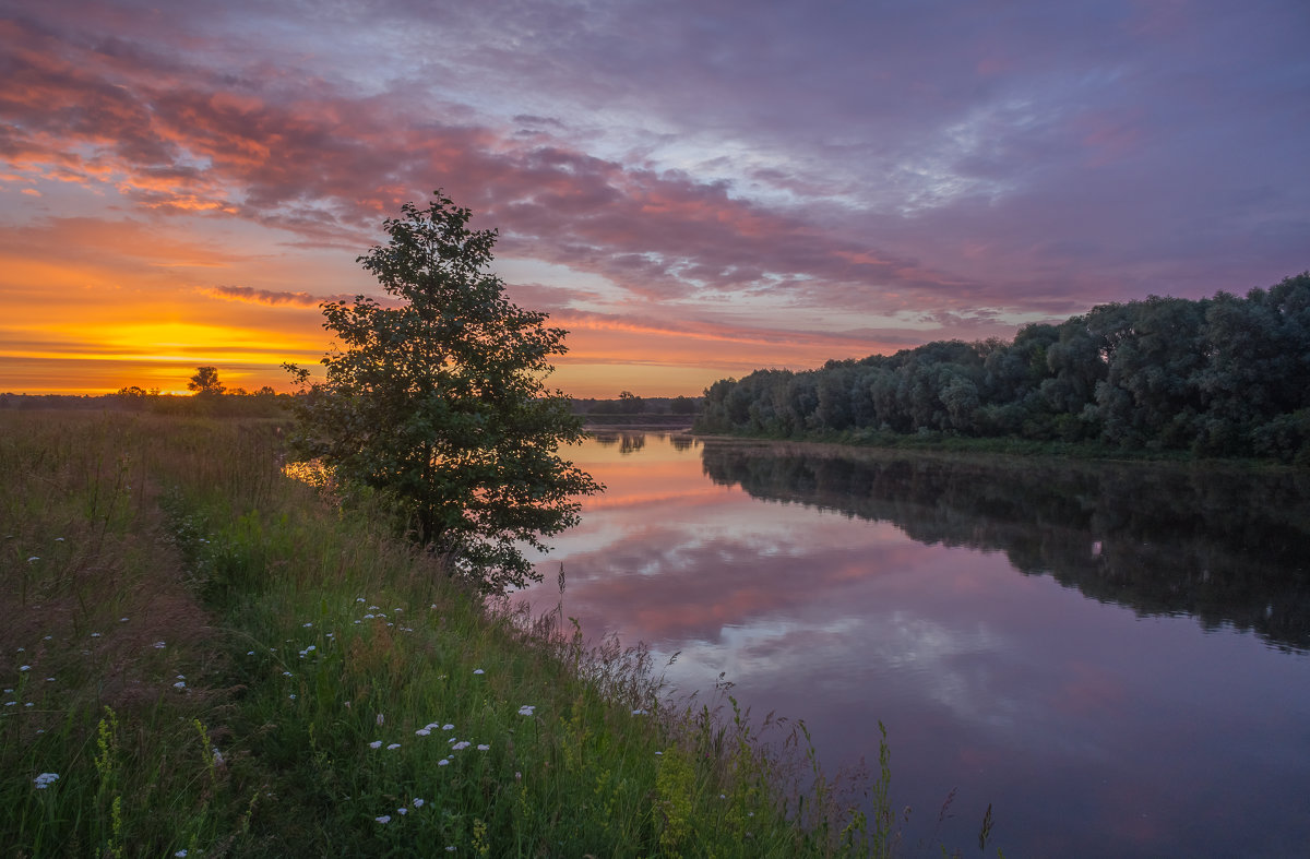 Утро на реке Клязьма