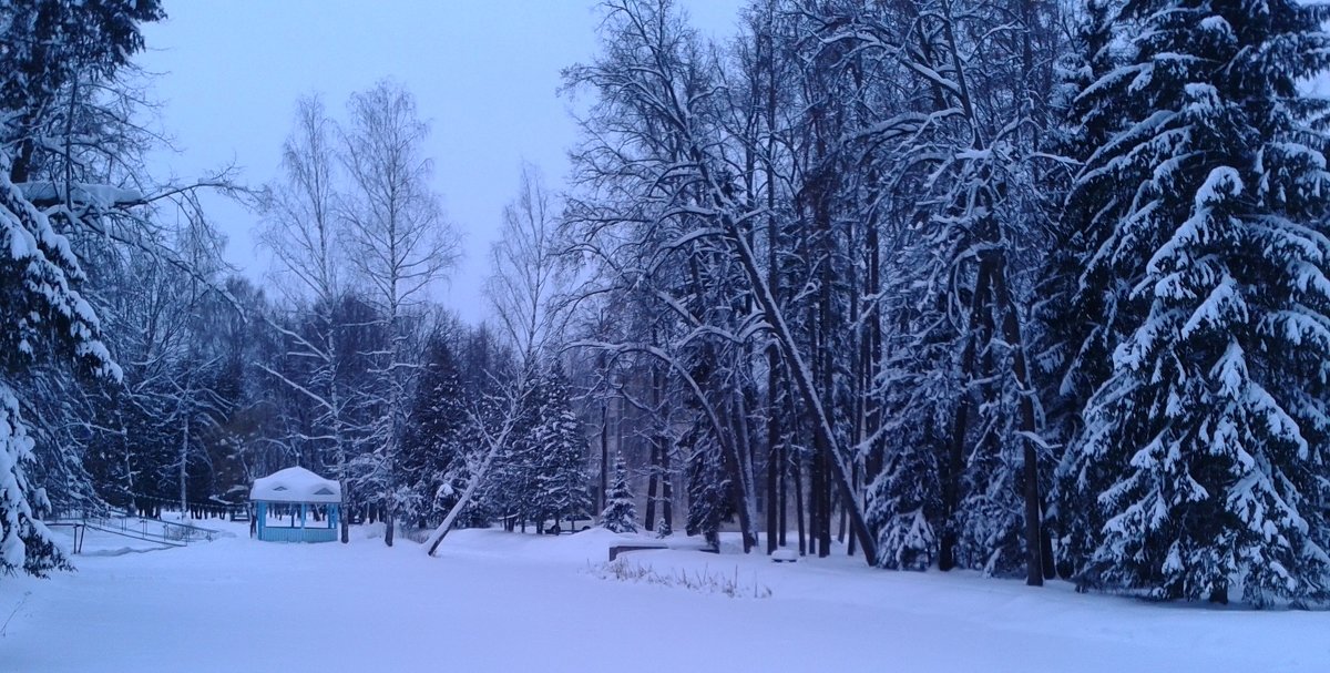 Беседка в зимнем лесу - Мила 