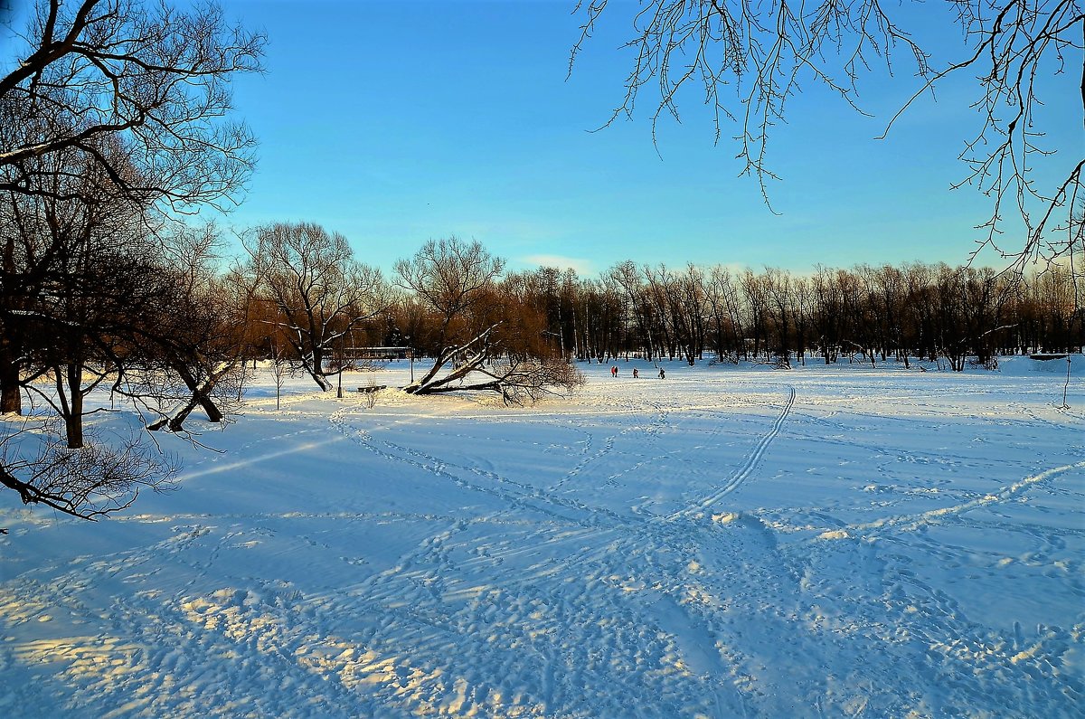 Наш зимний Парк... - Sergey Gordoff