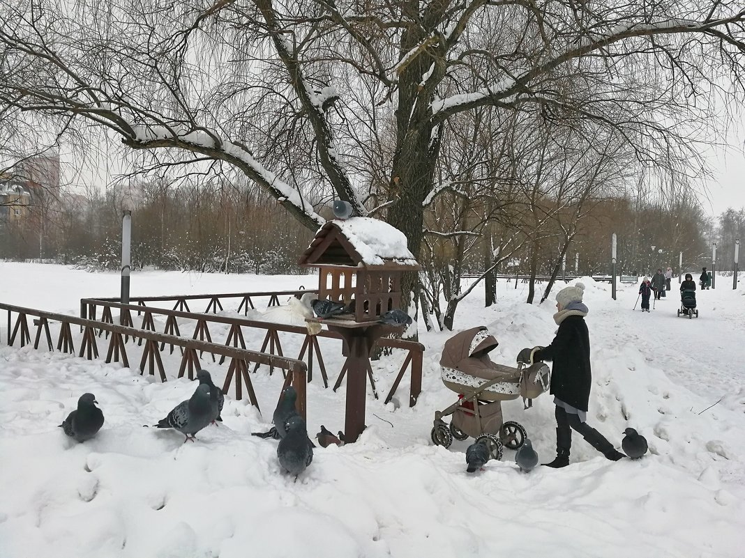 Зима в парке. - Ирина Токарева