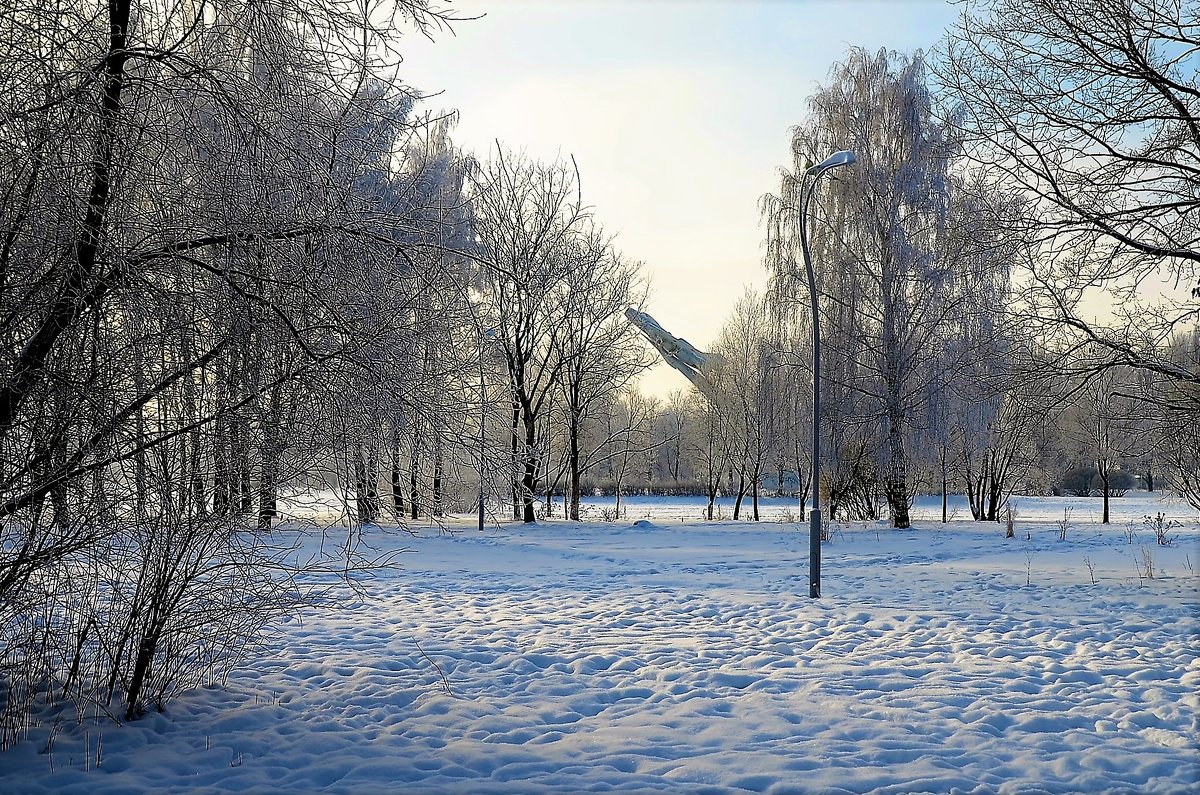 В глубине зимнего Парка... - Sergey Gordoff
