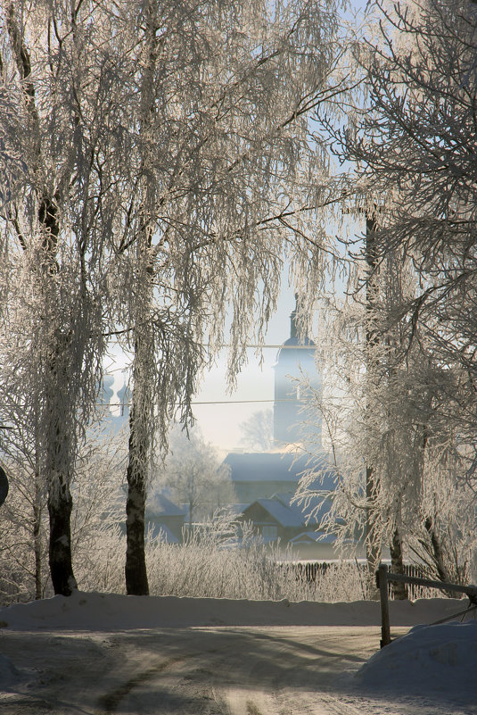 Морозное утро - Sergey 