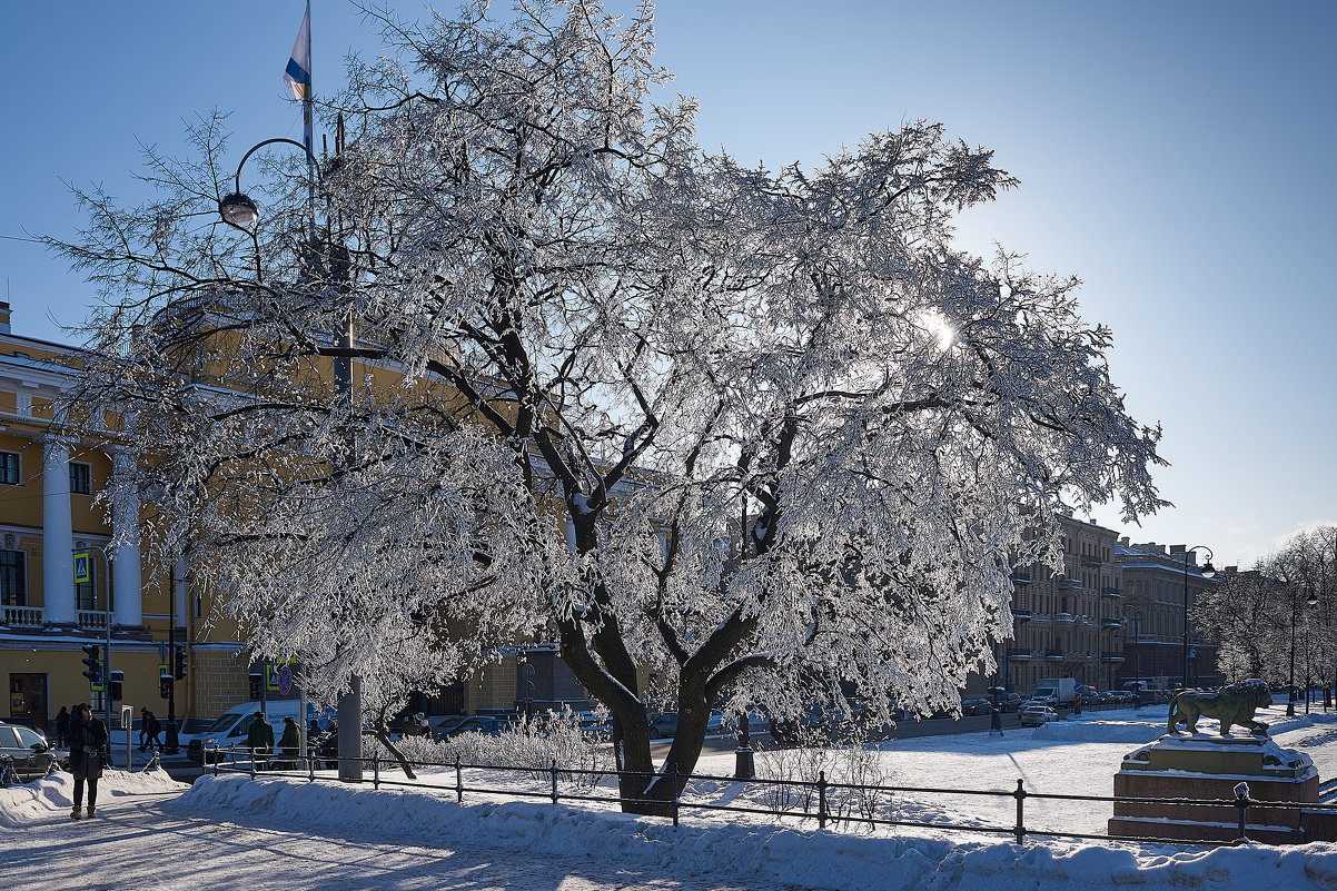 Зима в Питере - Юрий Бутусов