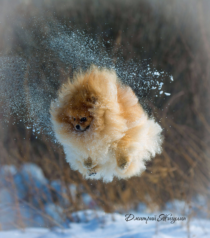 Я Тучка, Тучка, Тучка, я вовсе не медведь... - Дмитрий .