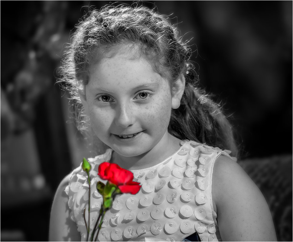 Девочка с красной розой - Борис Херсонский
