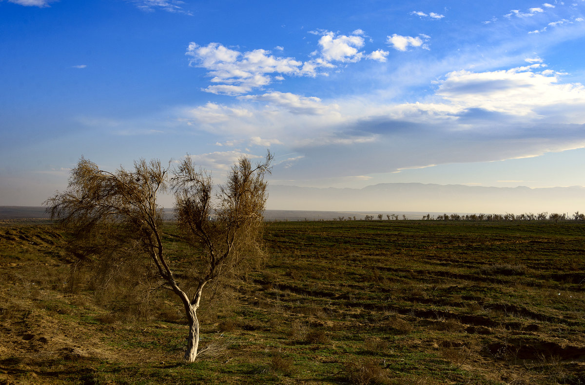 Небо Туркмении