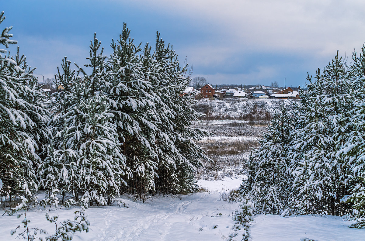 Первый снег осенний - Лариса Рыбакова