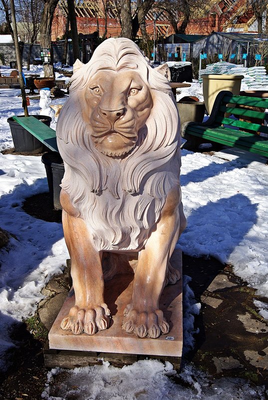 лев зимой - Александр Корчемный