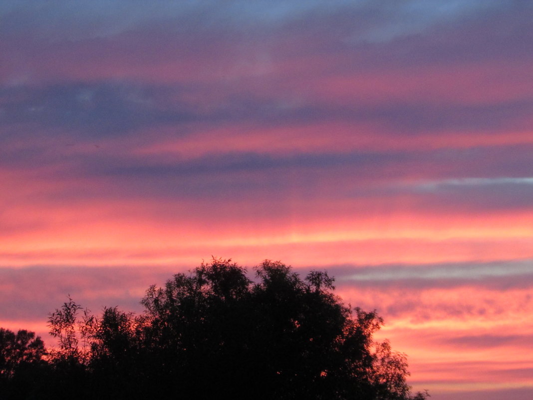цветные облака на закате - Светлана 