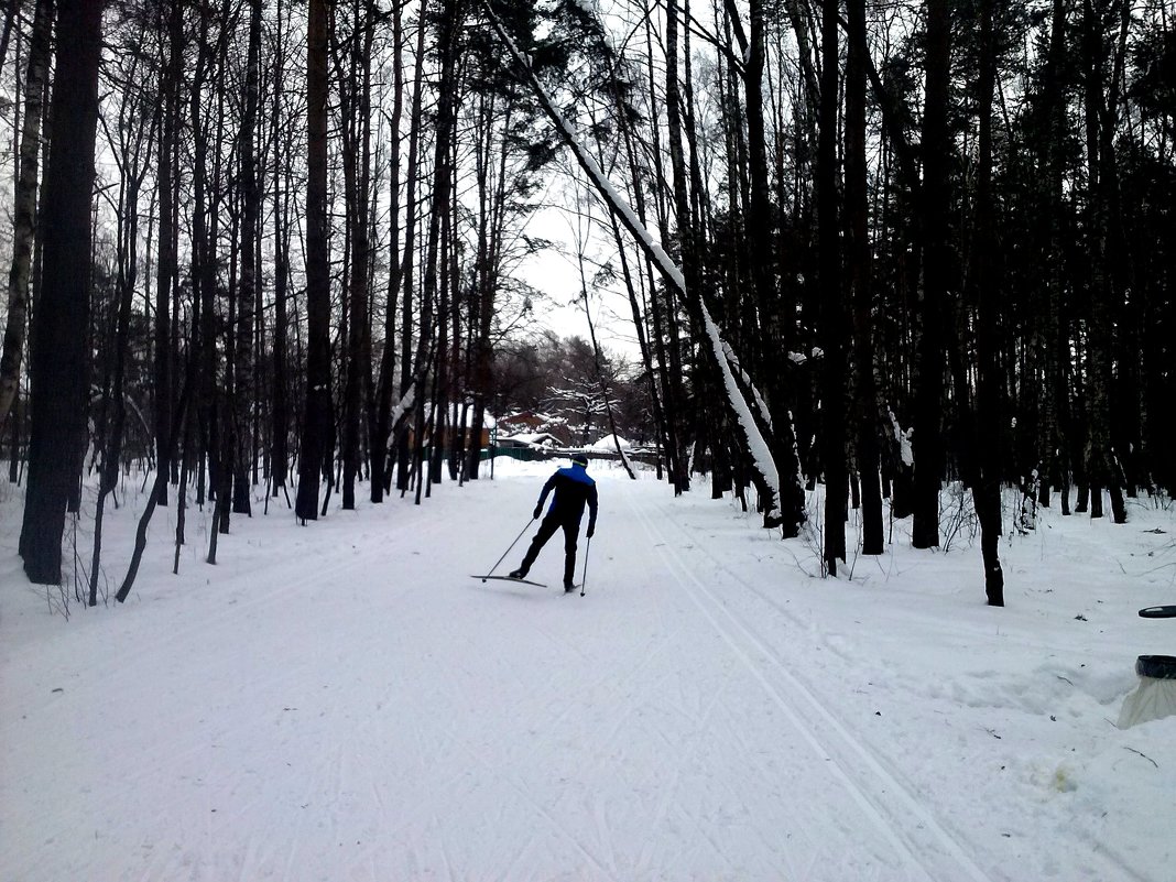 Одинокий лыжник - Мила 