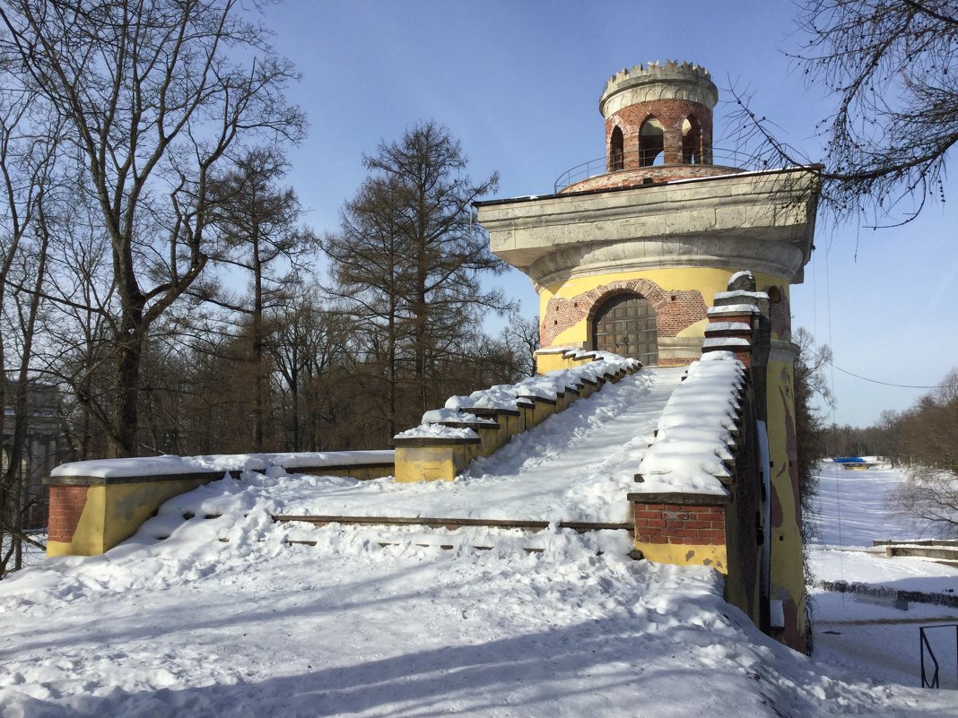 город Пушкин зимой - Леся Сафронова