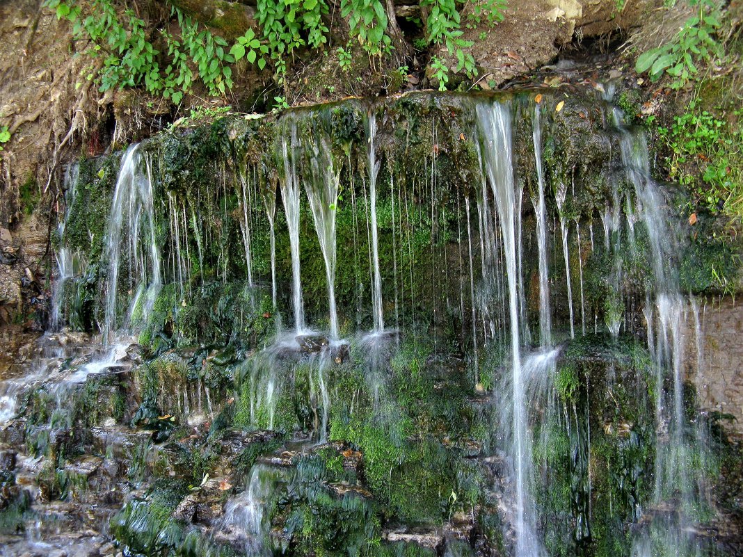 Славянские ключи. Изборск - Наталья 