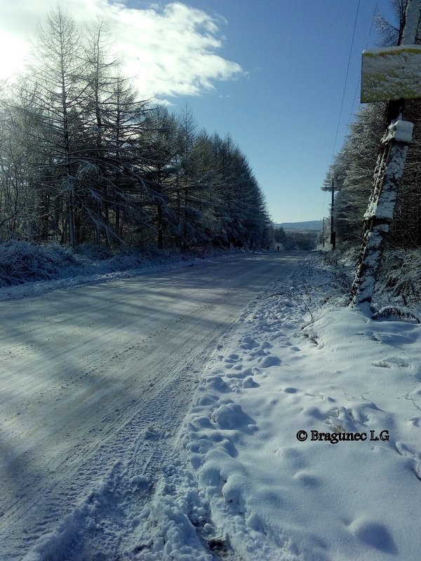 Зимняя дорога - Лариса Брагунец