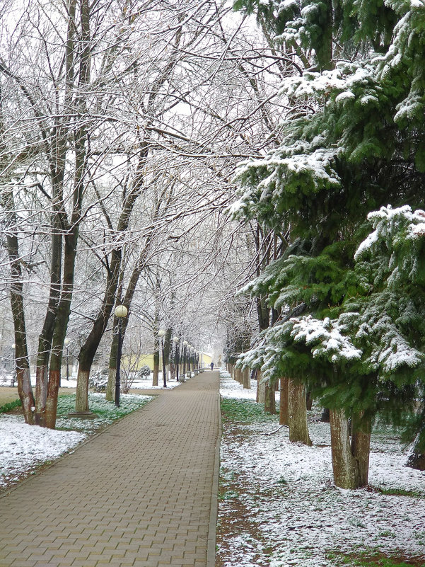 В парке встретились весна с зимой - Валерий Ткаченко