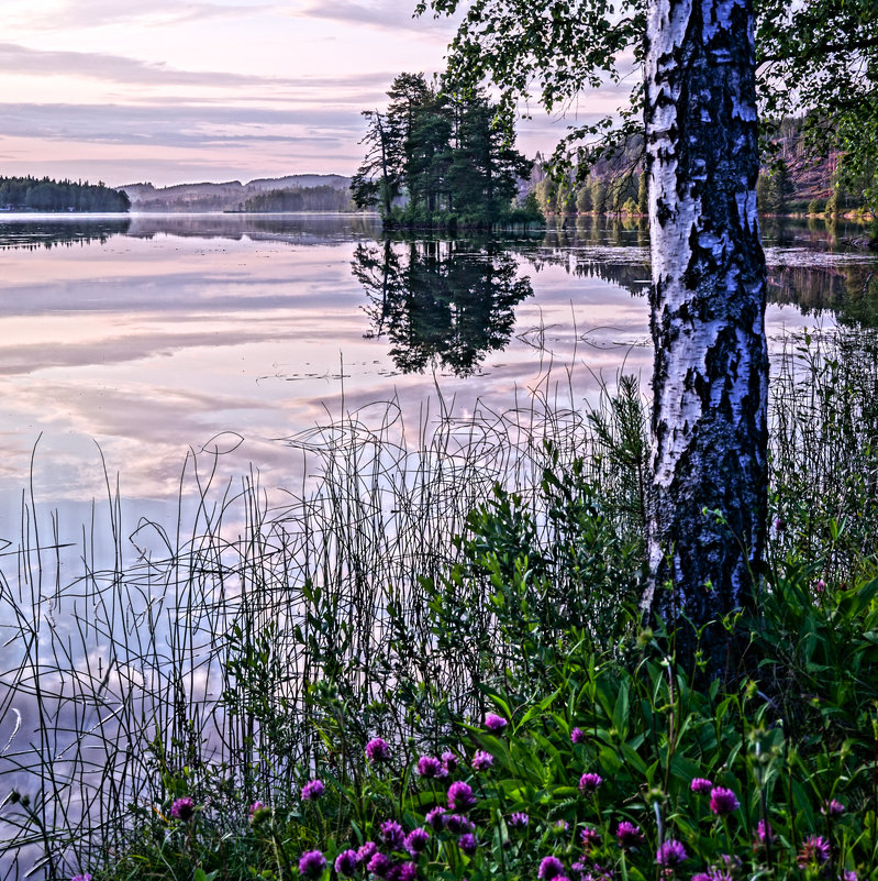 Тихий вечер на озере - Алексей Саломатов 