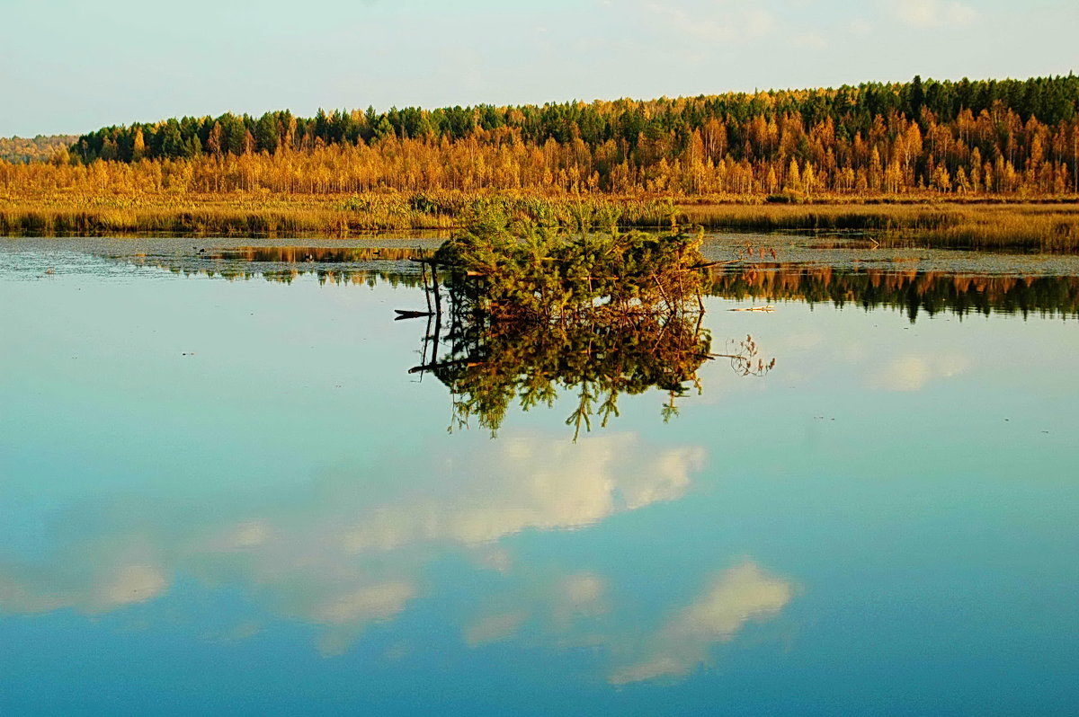 охотничий схрон на реке - Александр 