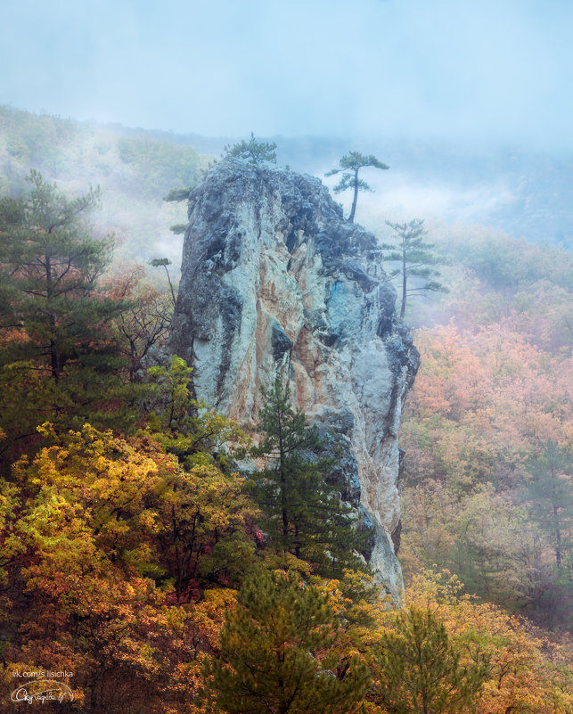 . - Фотограф Дарья Скугарева