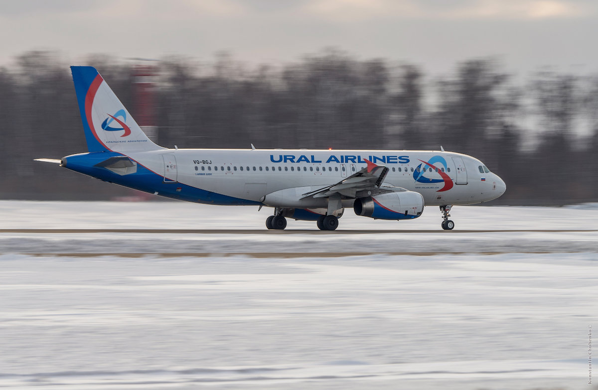 Ural  AirLines - KotoPalych Gf