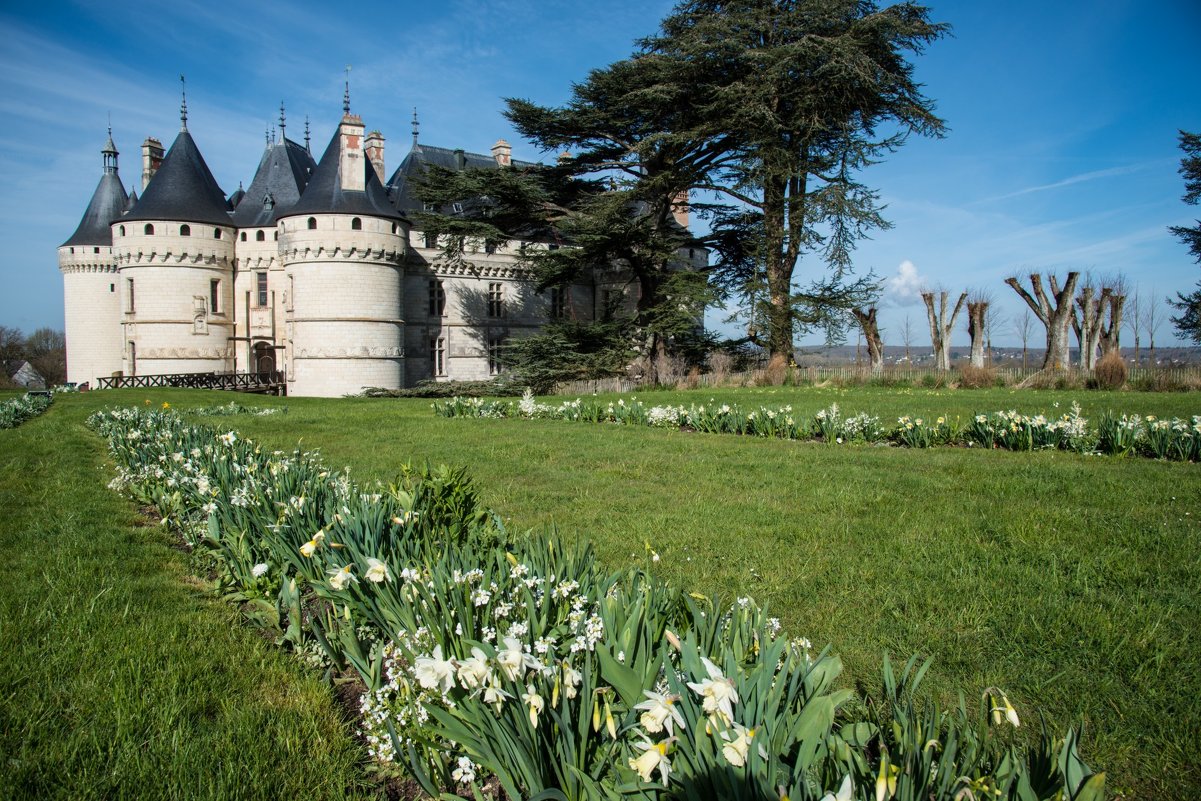 замок Шомон-сюр-Луар (chateau de Chaumont-sur-Loire) - Георгий А