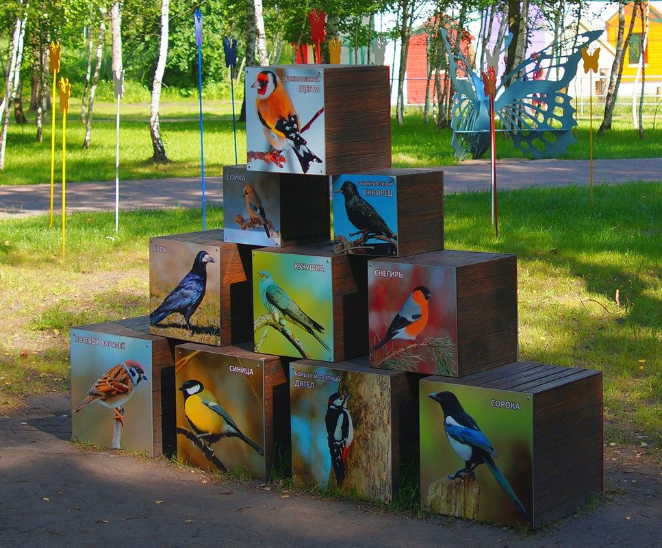 Птички в „клетке” - Сеня Белгородский