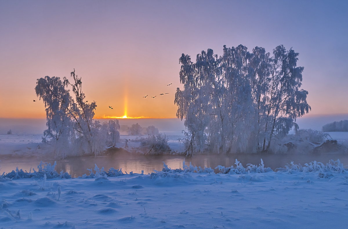 *** - Александр Гвоздь 