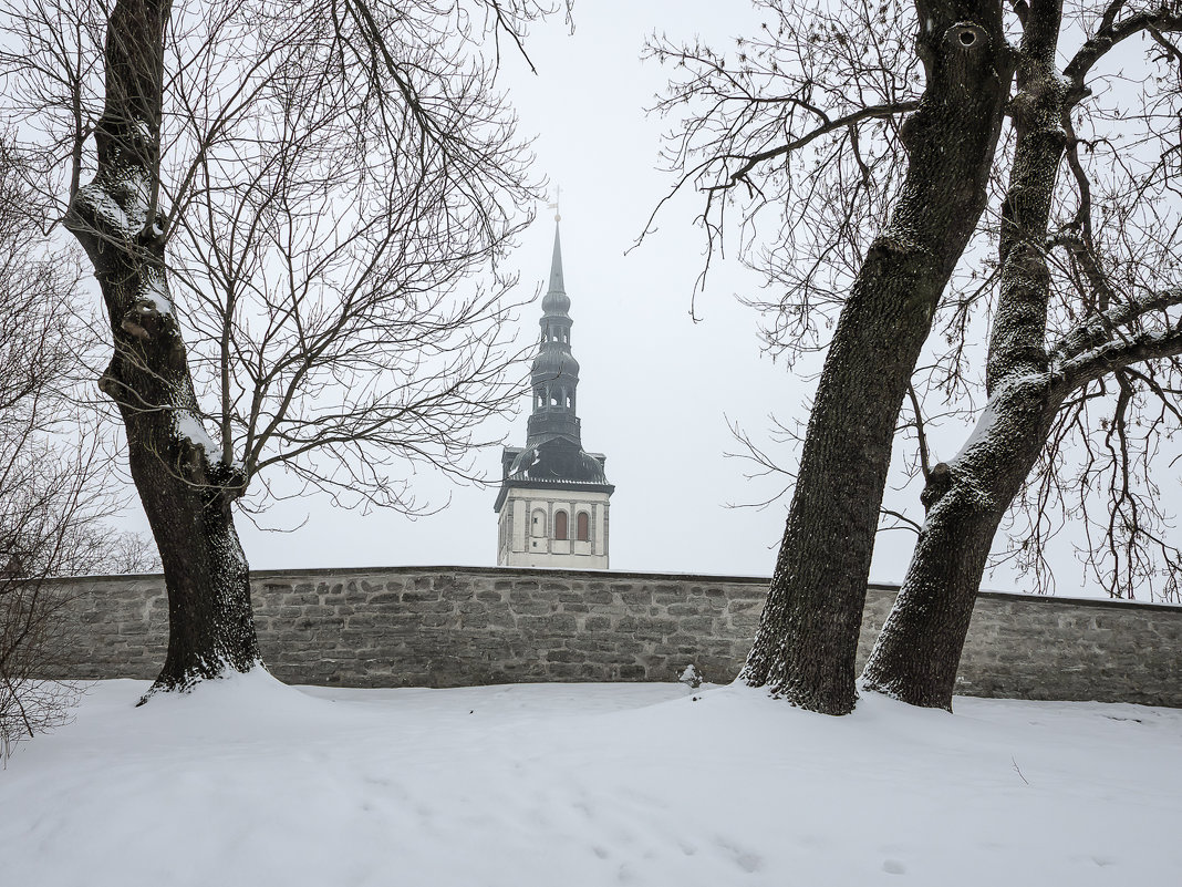 Spioon St. Nicholas - Цирятьев Алексей