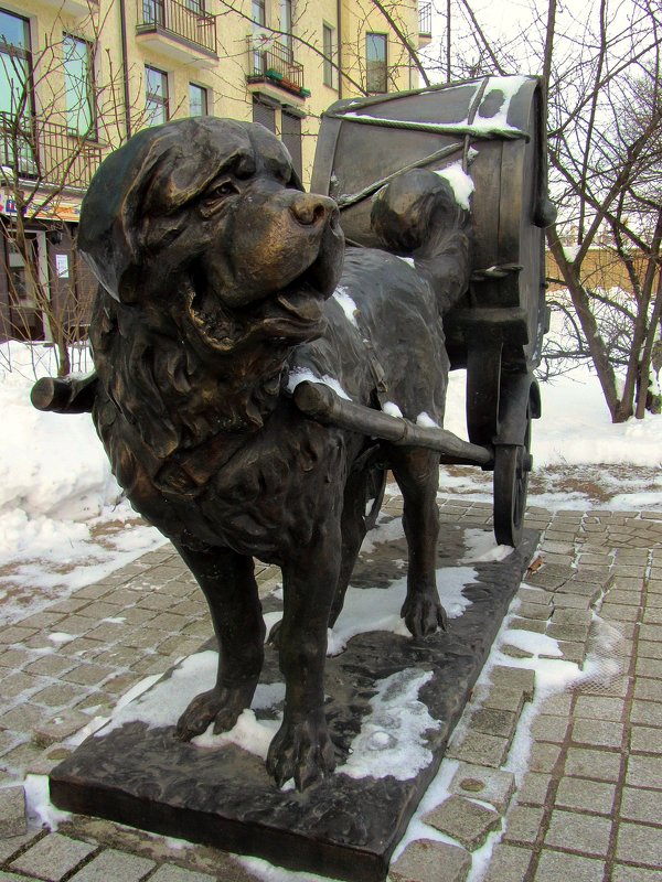 Барабанные собаки - Сергей Карачин