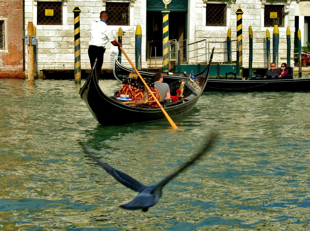 Каналы  Венеции | Венецианская сказка - backareva.irina Бакарева