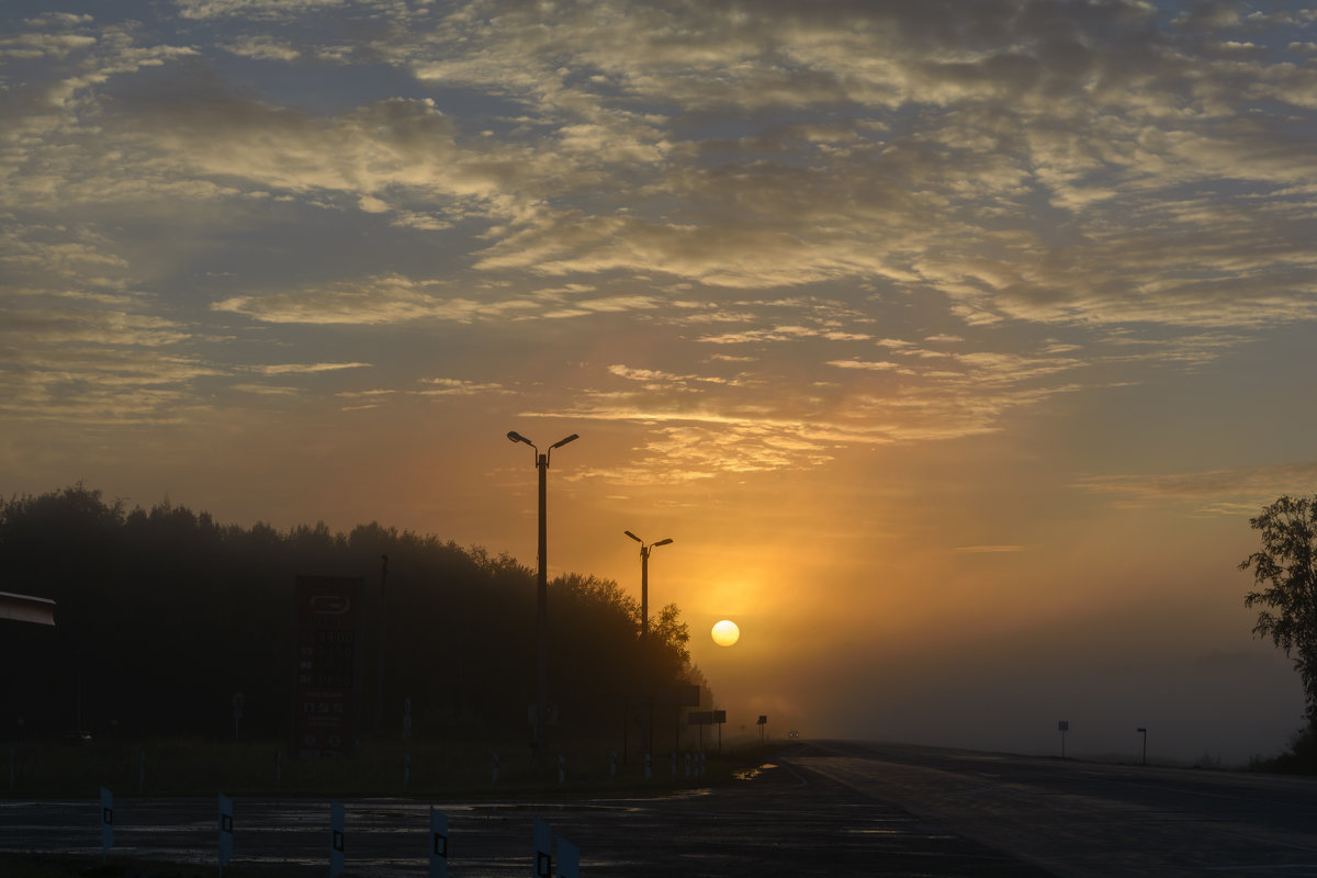 Трасса Новосибирск-Омск. Туманное утро - Александр Янкин