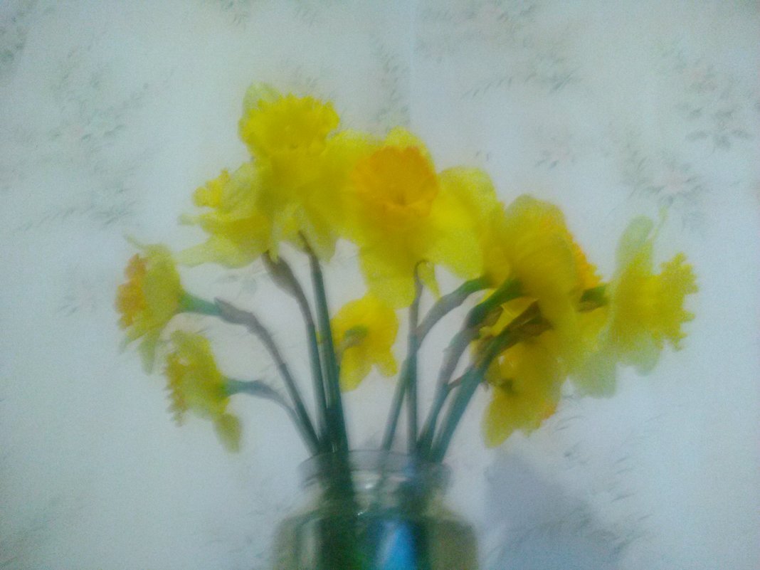 Весенние цветы (Апрель 2018 год). - Светлана Калмыкова