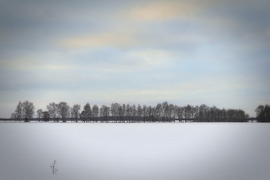 Оттенки зимнего неба - Андрий Майковский